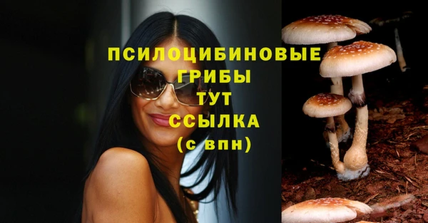 дурь Няндома