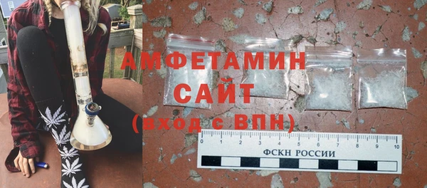 дурь Няндома
