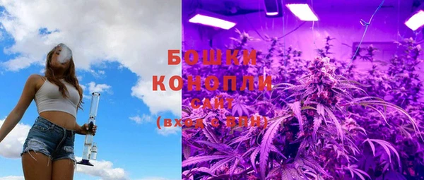 дурь Няндома