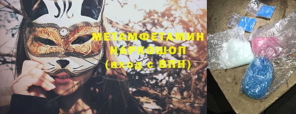 дурь Няндома