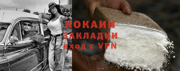 твердый Нягань
