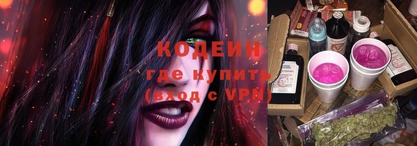 дурь Няндома