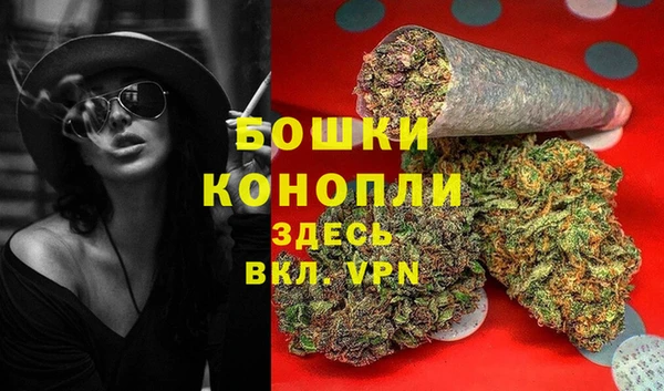 стаф Инта
