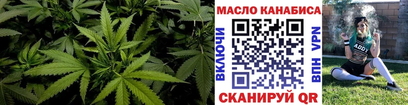 Дистиллят ТГК THC oil  hydra как войти  Закаменск 