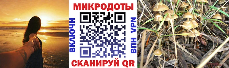 Галлюциногенные грибы GOLDEN TEACHER  закладки  Закаменск 